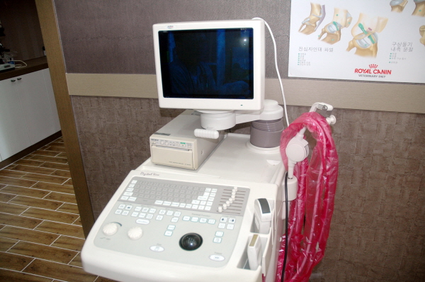 s4.JPG